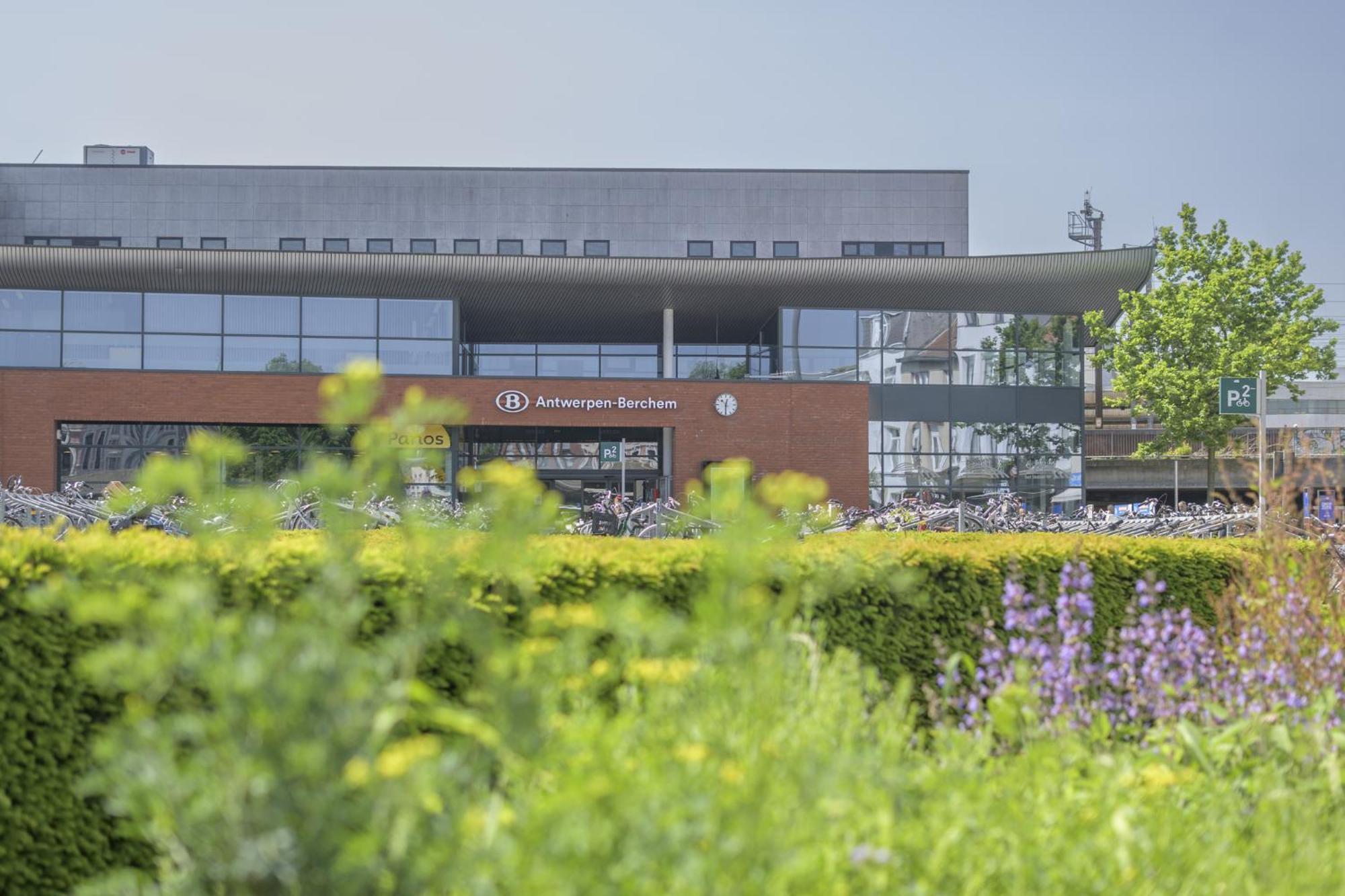Cozy Antwerp - Zurenborg Skyline Exterior foto